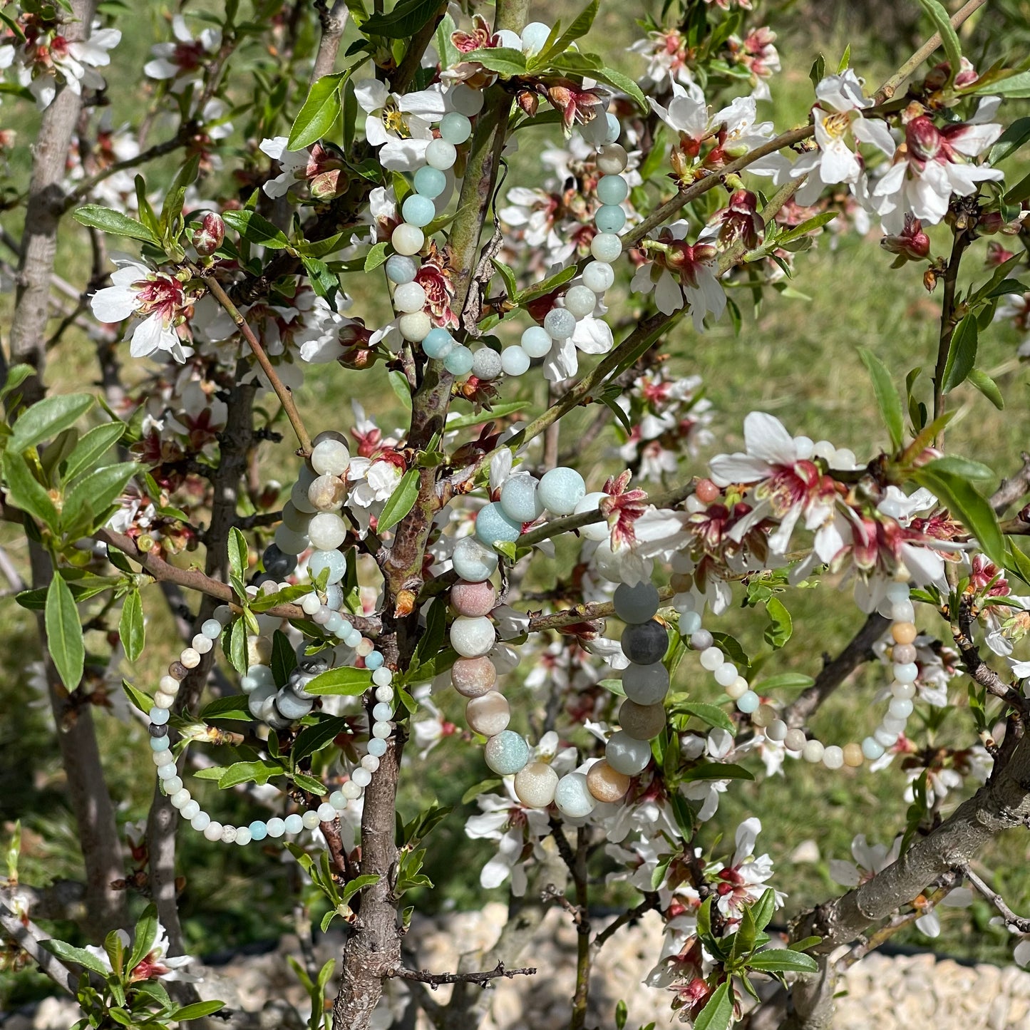 Bracelet Amazonite multi perles 6mm